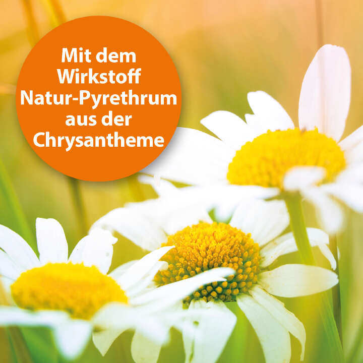 ARDAP Spot-On für kleine Hunde unter 10 kg